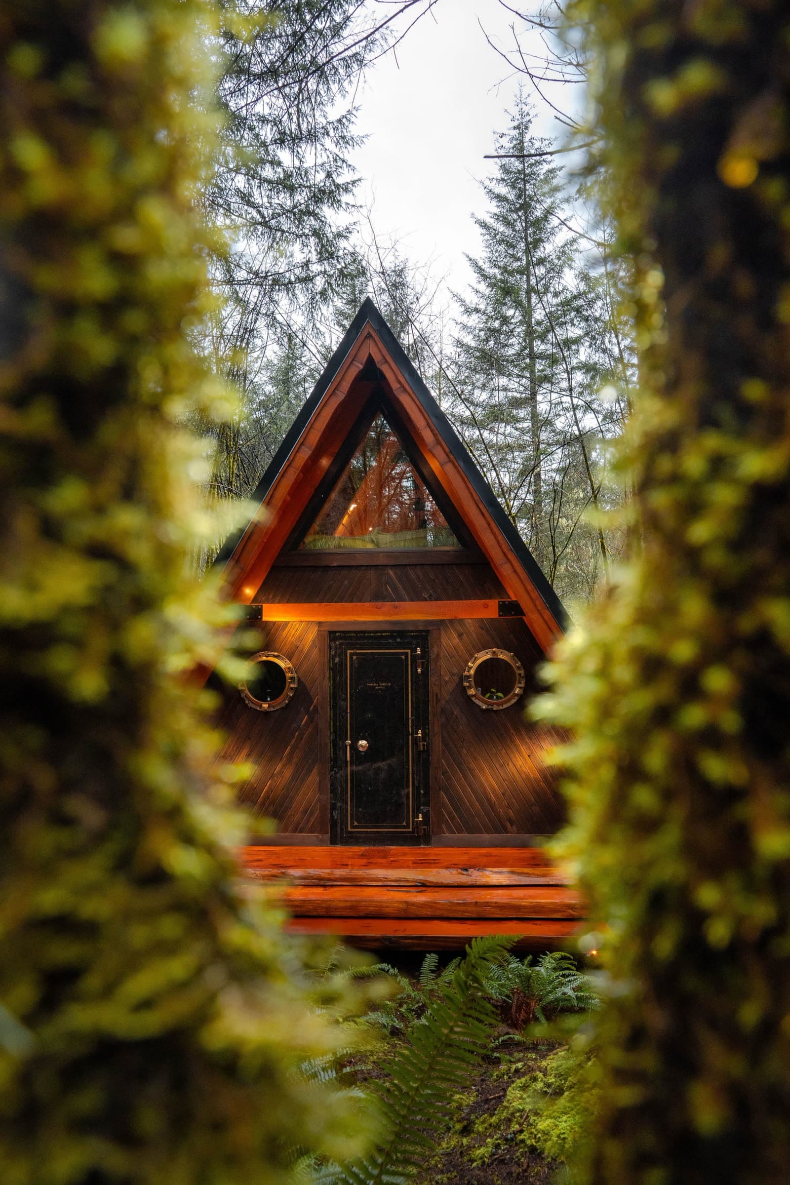 The A-frame glimpsed between two moss-covered tree trunks in the forest, its red-cedar gable glowing warmly.