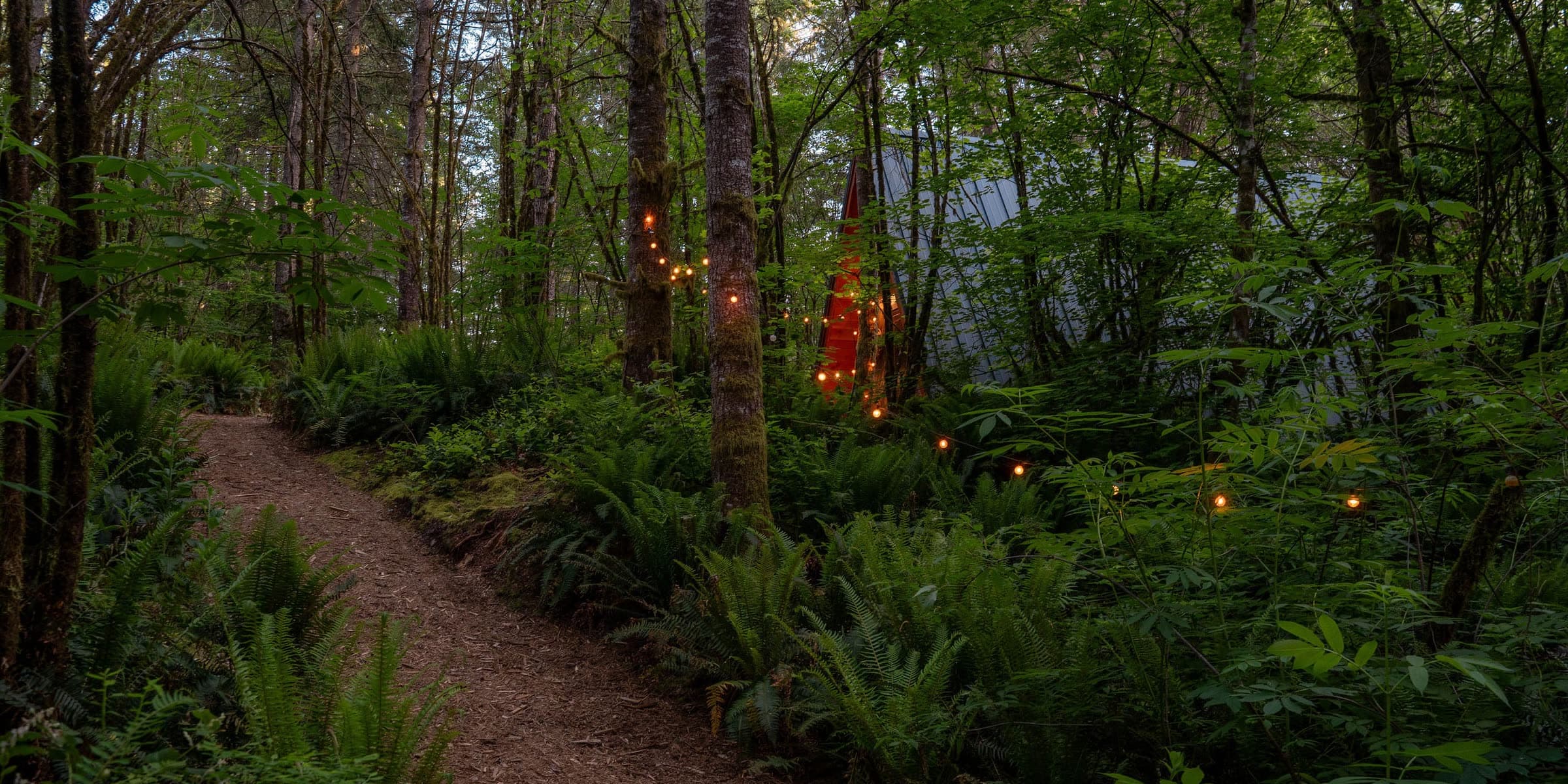 A wood-chip trail winding through ferns and moss-draped trees, with string lights glowing near the cabin in the distance.